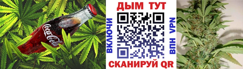 Купить закладки Новоржев Cannafood марихуана