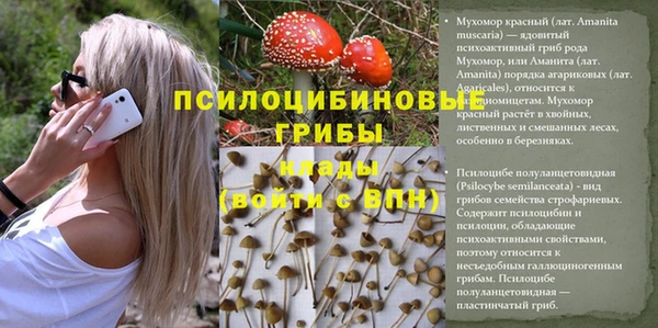 мефедрон мука Дмитровск