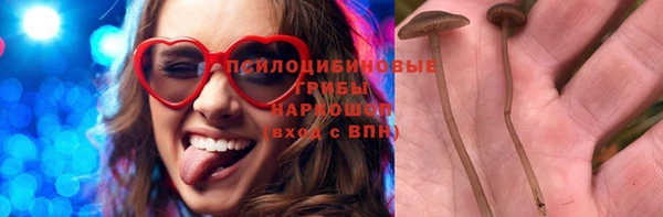 эйфоретик Дмитров
