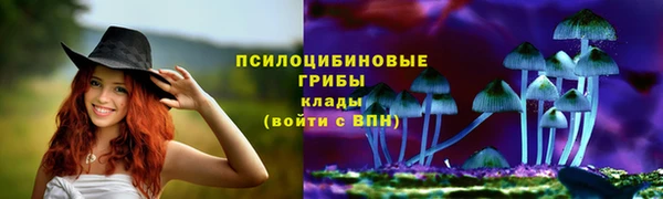 эйфоретик Дмитров