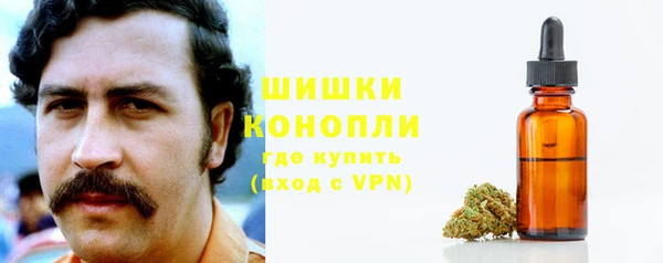 эйфоретик Дмитров