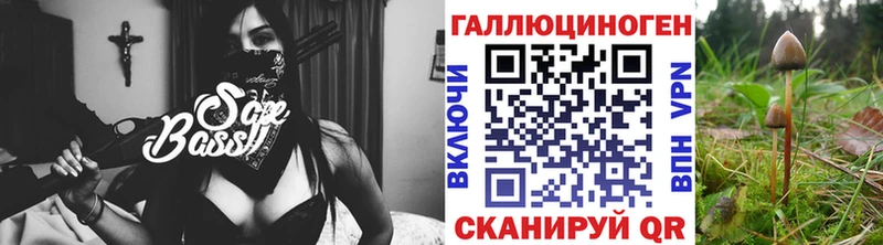 Купить  Новоржев  Галлюциногенные грибы мицелий 